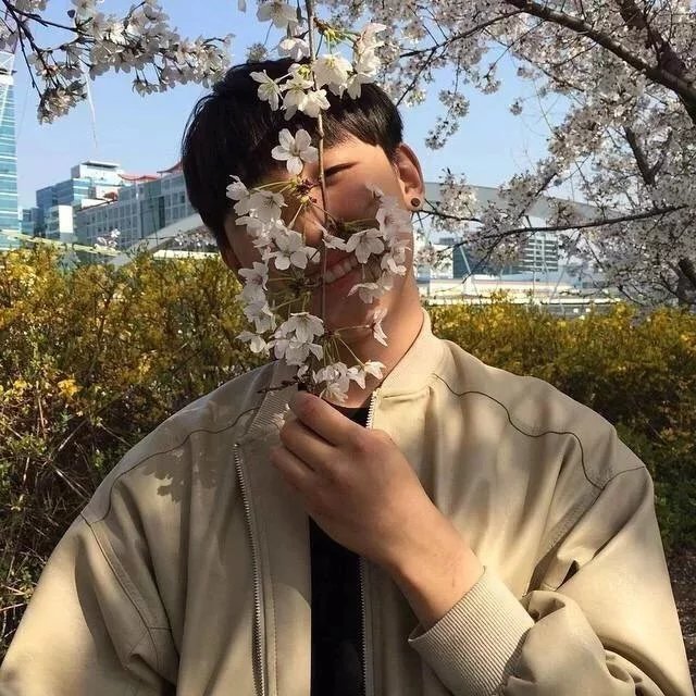 朝辞白帝彩云间