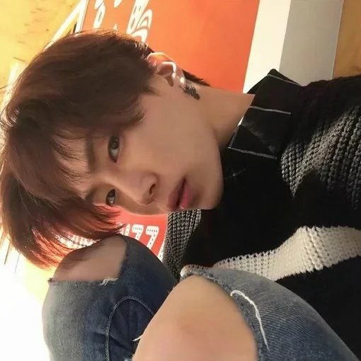 树缝中的阳光