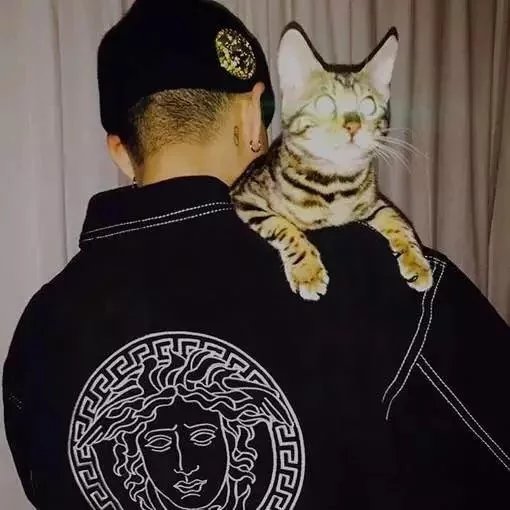 草泥马太太