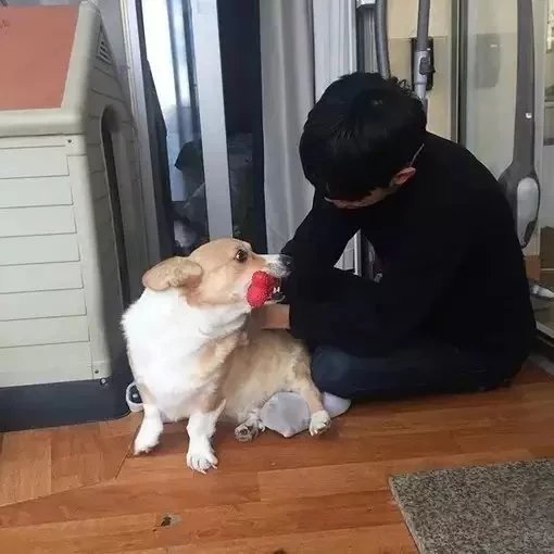 董华健