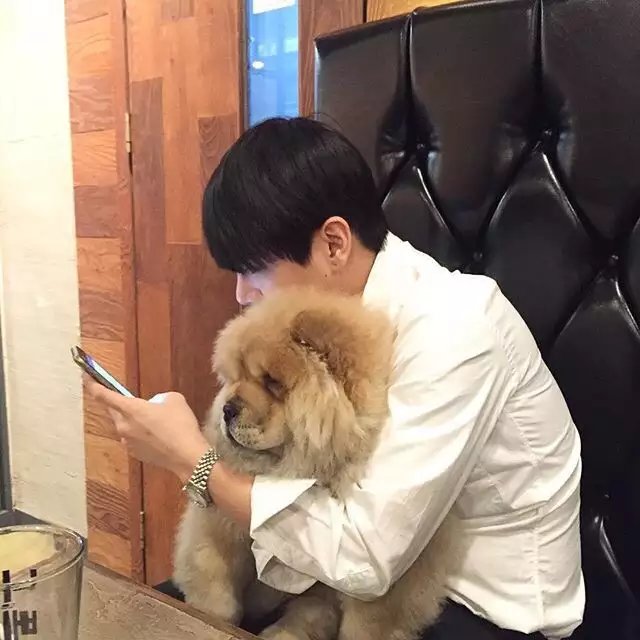 丹凤呀