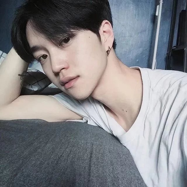 桑桑驴子