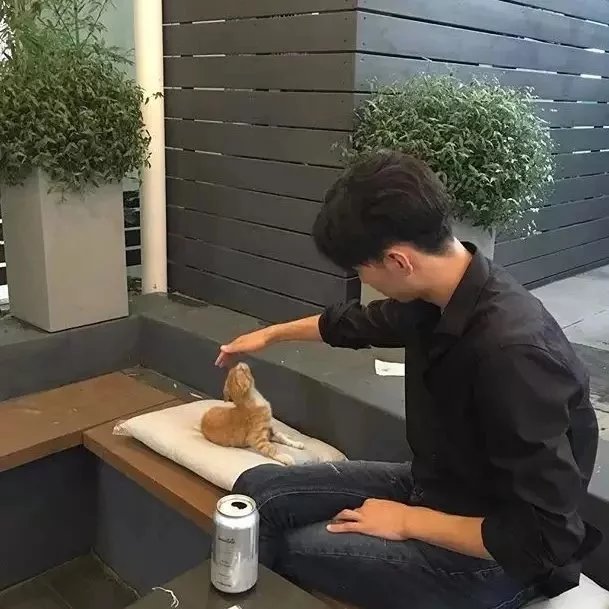 丶蒲公英丶