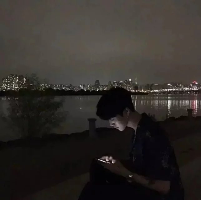 凤凰聂秋
