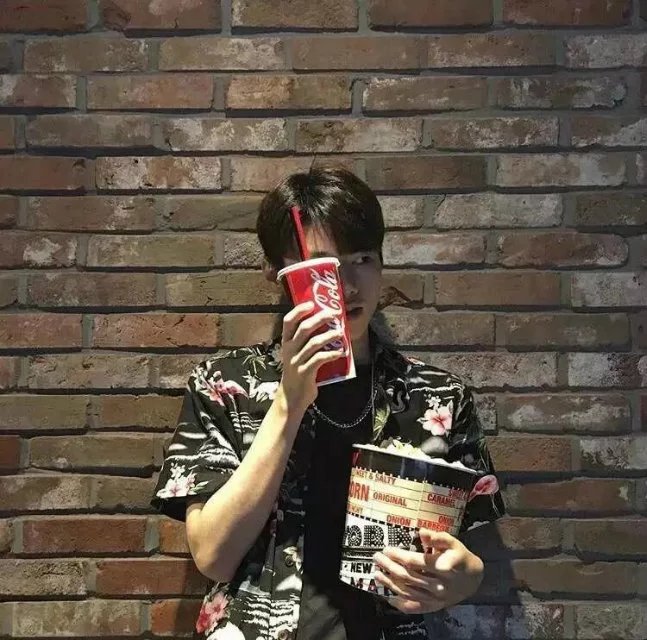 猫猫狗狗