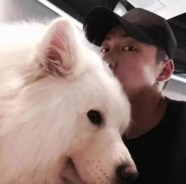 Junjie