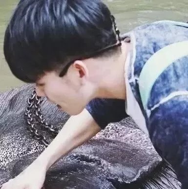 水冰月