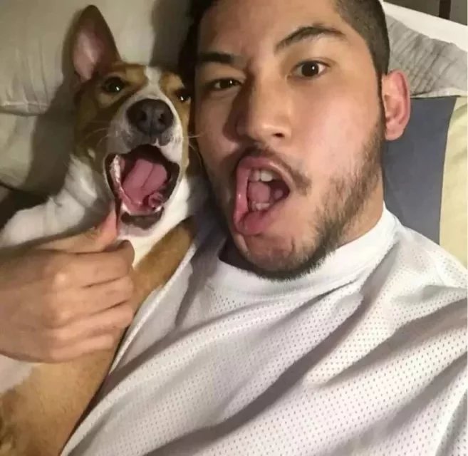 槐生