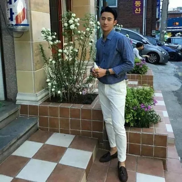 南方有乔木