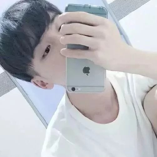 宾少