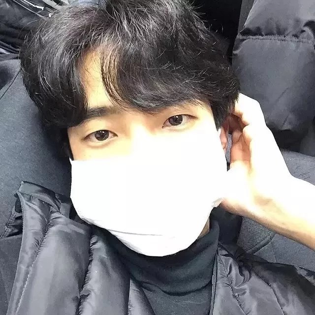 八号门的树荫