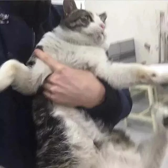 卅椤