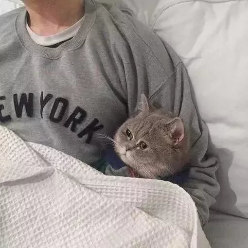 哦。我看到了。