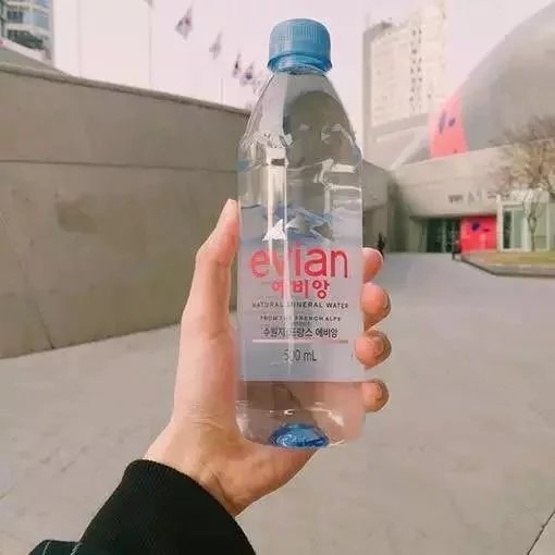 夹尾巴与骄傲