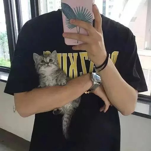 啦啦啦啦啦