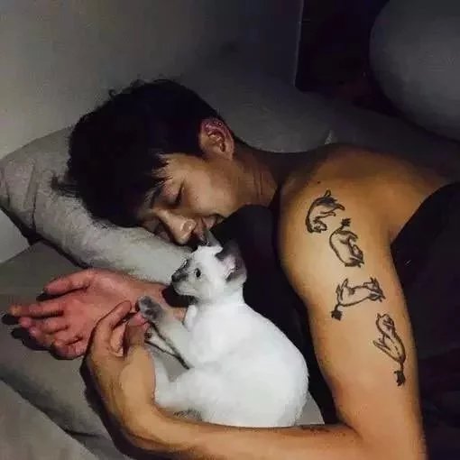 还能继续睡