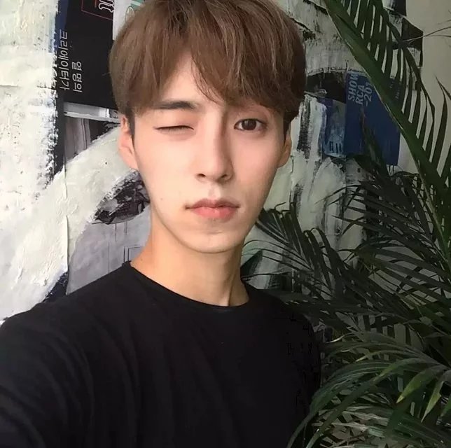 月亮星星太阳