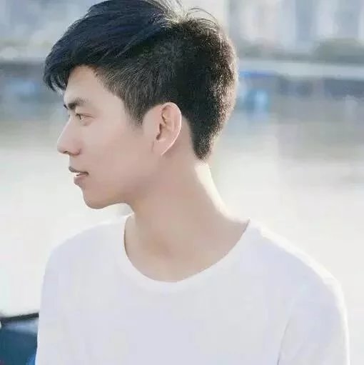 悬崖上的喇叭花