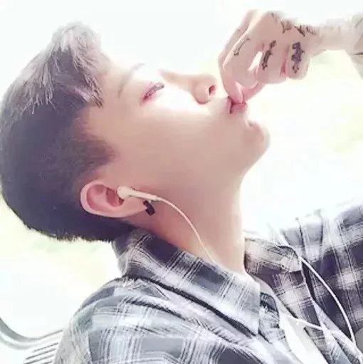 新碟儿