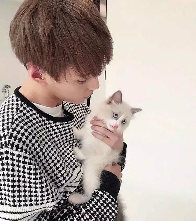 NaiYue