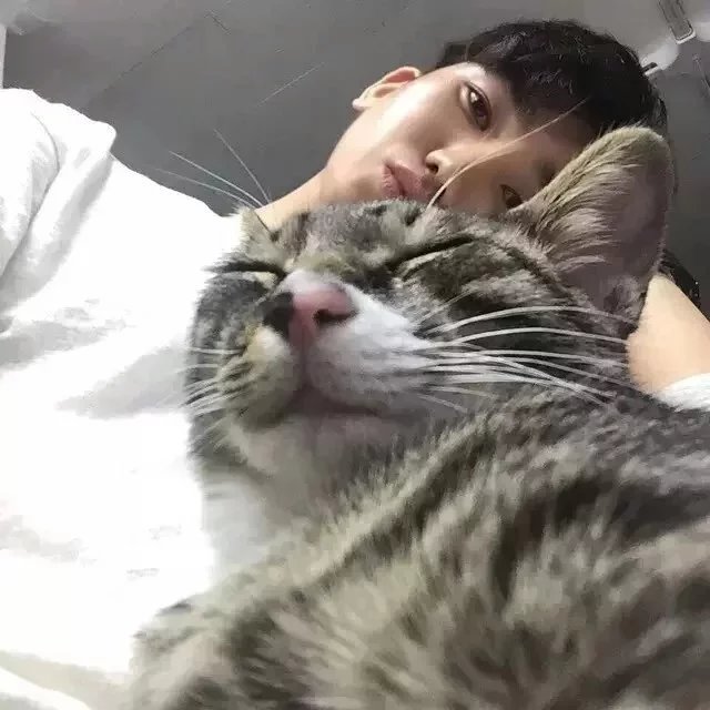 一点点陈秋秋