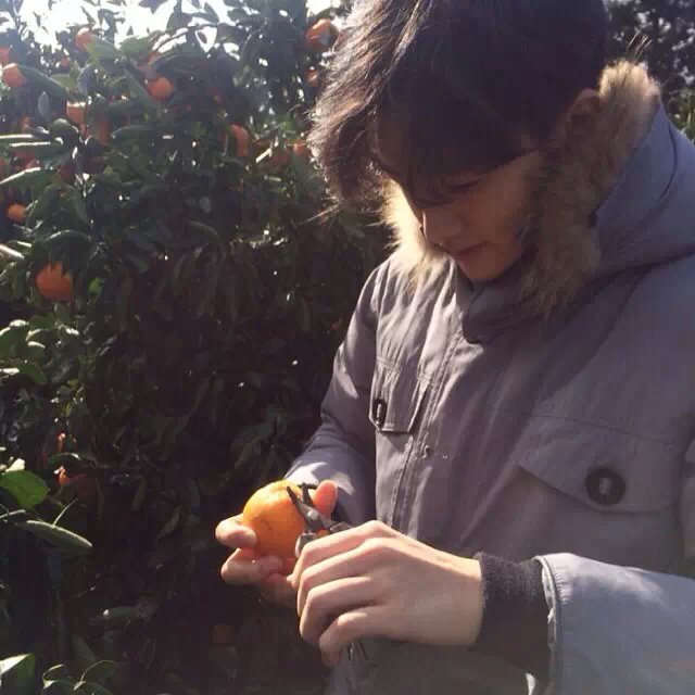 各位太有才了