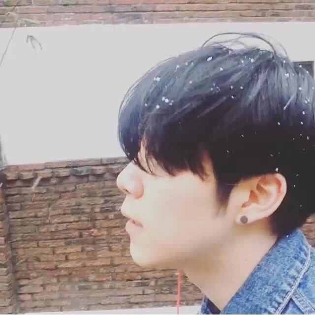 嘉。。。
