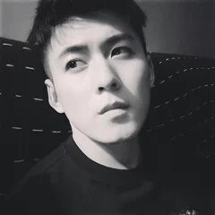 小龙猫