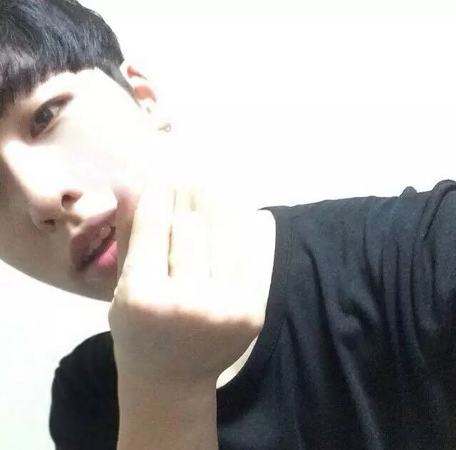 倔强小草leo