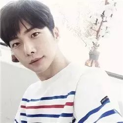 八组鹅